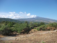 gale-20120725 030